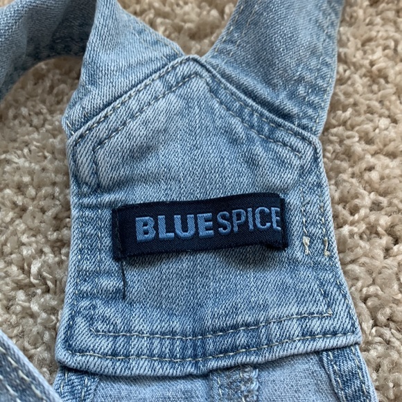 Blue Spice Bib Overall Shorts - Picture 5 of 6